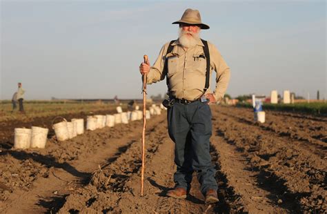 Organic Farmers Object to Whole Foods Rating System - The New York Times