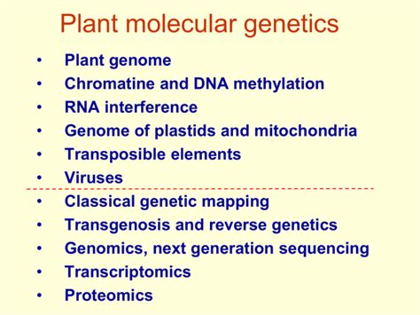 plant genome