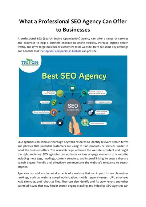 Ppt What A Professional Seo Agency Can Offer To Businesses Powerpoint