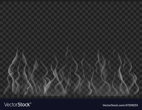 Realistic smoke steam effect from bbq hot tea Vector Image