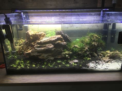 119 Best Diy Co2 Images On Pholder Planted Tank Aquariums And Aquascape