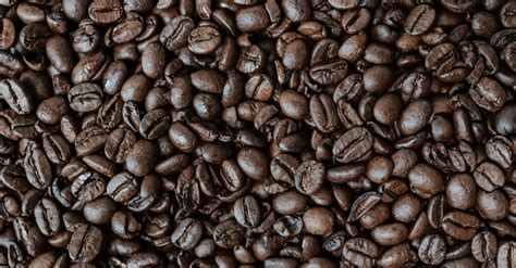 Dark Coffee Beans · Free Stock Photo