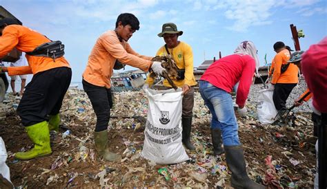 Pgn Kumpulkan Ratusan Kg Sampah Dari Pantai Teluk Labuan Mimir