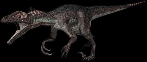 Utahraptor Walking With Dinosaurs Inside Their World