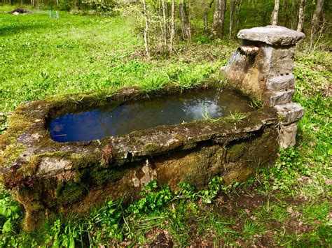 Fontana Di Montagna Dove Sgorga Acqua Di Sorgente Vernacular