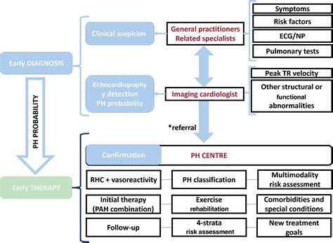 Comments On The 2022 Esc Ers Guidelines For The Diagnosis And Treatment