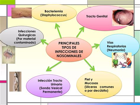 Infecciones Intrahospitalarias Ppt