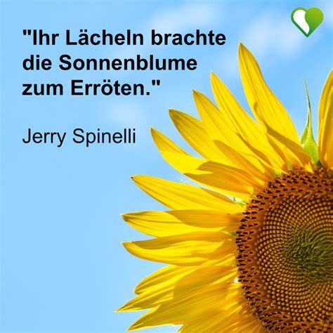 11 kurze Sonnenblumen Sprüche und Zitate