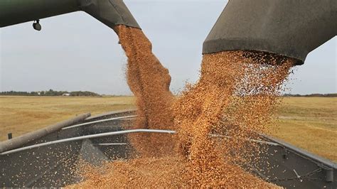 Infobae Económico Últimas Noticias de Economía de Argentina América Latina y del Mundo Infobae