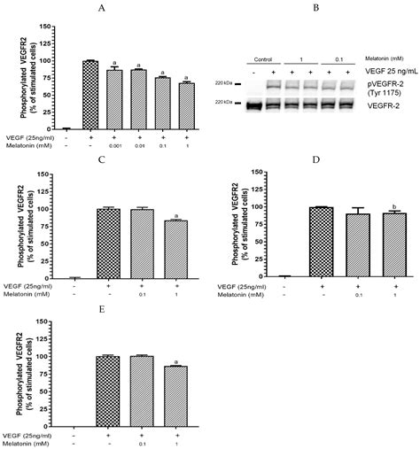 Inhibition Of VEGF Induced VEGFR 2 Activation And HUVEC Migration By