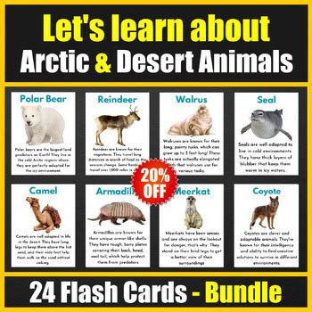 let's learn about Arctic & Desert Animals - Fun Facts Bundle - Bulletin ...