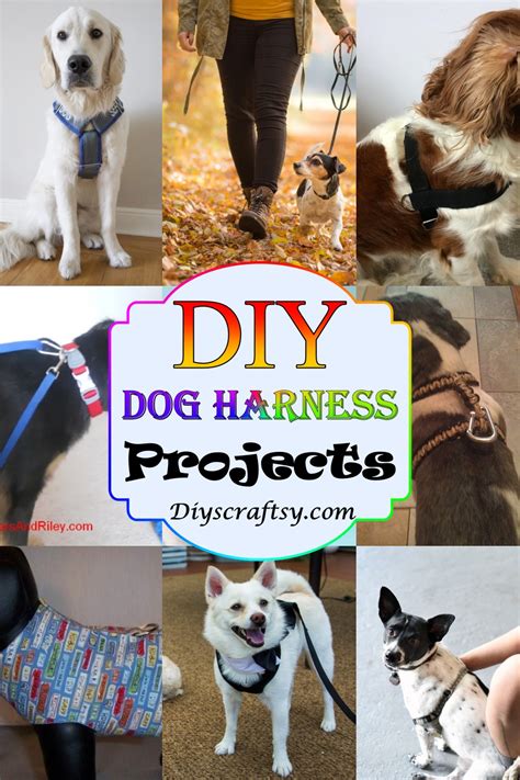 22 Diy Dog Harness Projects Diyscraftsy