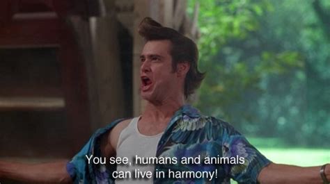 Ace Ventura 2 Quotes. QuotesGram