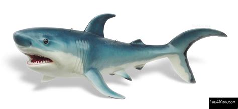 Shark Sculpture - The 4 Kids