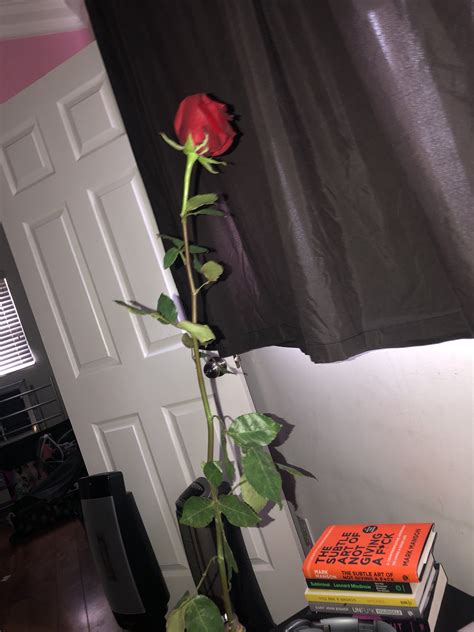 NUT EXTRACTOR 9000 on Twitter: "i don’t deserve the love my friends