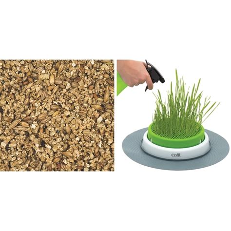 Catit 2 0 Cat Grass Planter Kit For Cats