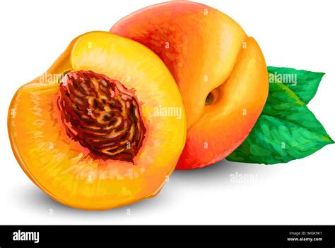 Toda La Fruta De Durazno Imagen Vector De Stock Alamy