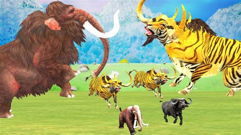 Zombie Tiger Bulls Vs Buffalos Rescue Saved By Woolly Mammoth