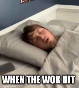 Wok Imgflip