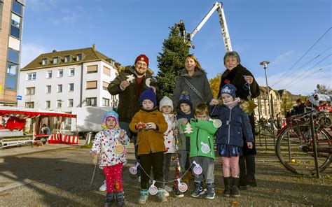 D Sseldorf Der Letzte Weihnachtsbaum Auf Dem Kamper Acker