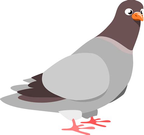 Free Pigeon Vector Art Download 148 Pigeon Icons And Graphics Pixabay