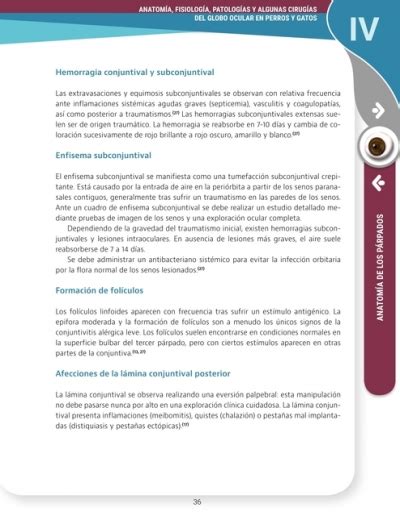 Anatomía fisiológia patologías y algunas cirugías del globo ocular en