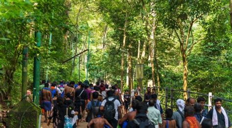 Sabarimala Temple: History, Timings, Location