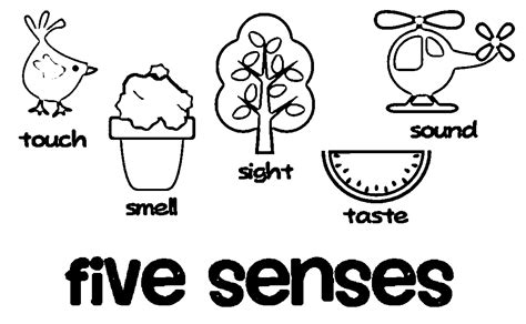 Coloring Pages Of 5 Senses - Coloring Home