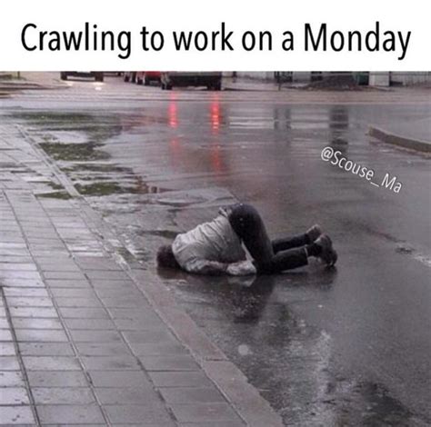 Crawling To Work On A Monday Gym Humour Funny Video Memes Workout