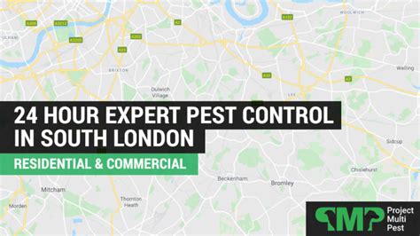 Pest Control South London 24 Hour Pest Control Services