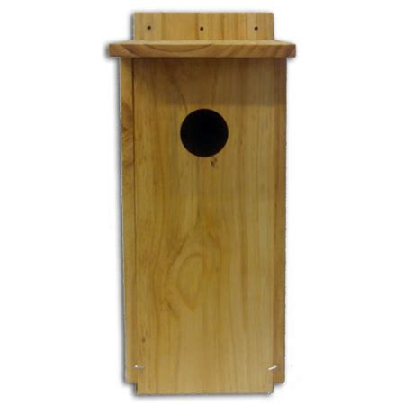 B Caja Nido Para Herrerillos Y Carboneros Garden Birds