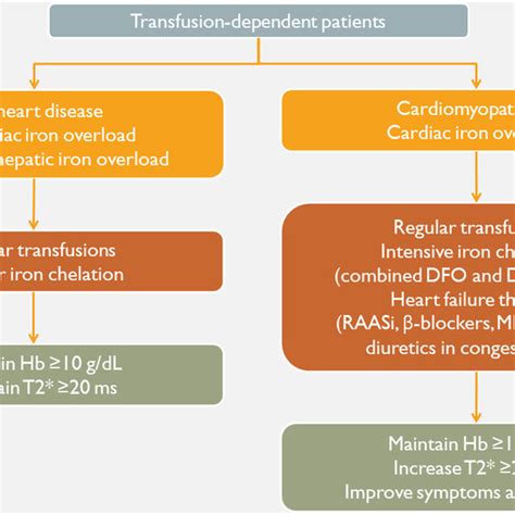 Pdf 2021 Thalassaemia International Federation Guidelines For The Management Of Transfusion