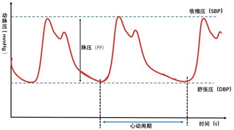 血压天天测，千万别忽视这个指标！脉压