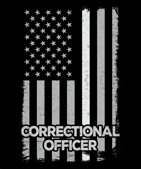 Correctional Officer Usa American Flag Thin Gray Line Digital Art By