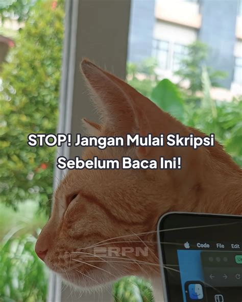 Cek Plagiasi Siap 24 Jam | ERPN Store (@erpn.store) • Instagram photos