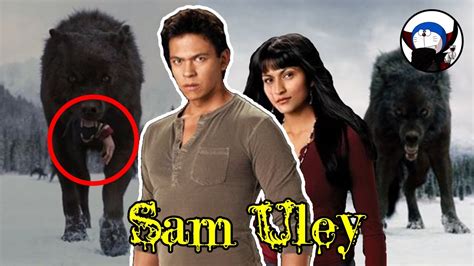 Sam Uley El L Der De Los Metamorfos Hombres Lobo De La Saga