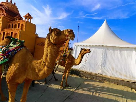 Rann Utsav: Gujarat's spectacular desert festival, Gujarat - Times of ...