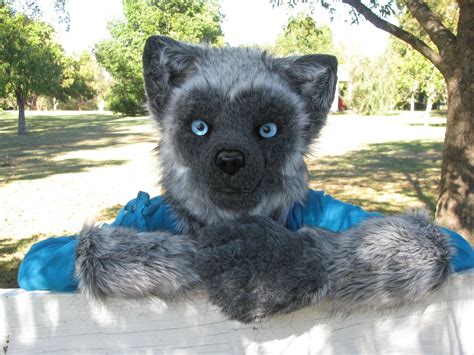 Silver Fox Полу Реалистичный Фурсьют / Талисман Частичное Ж / Голова ...