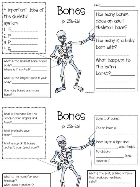 Skeletal System Questions | PDF