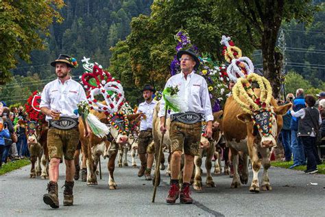 Almabatrieb In S Ll Tirol Austria On Saturday September A