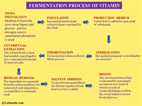 Fermentation Process Of Vitamins Labmonk