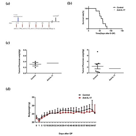 Flow Cytometry Analysis Of The Cell Cycle Profile Of U2os Osteosarcoma