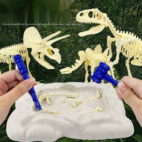 Fossil Science Can Dinosaur Dig Kit Para Ni Os T Rex Dinosaurio F Sil