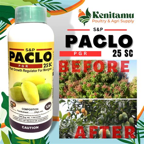 Paclo Sc L Plant Growth Regulator For Mango Plant Care And Crops