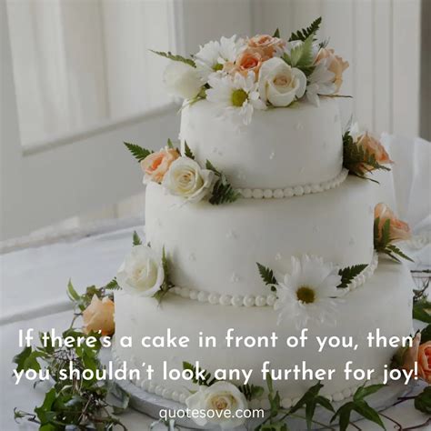 90+ Best Cake Quotes, And Sayings » QuoteSove