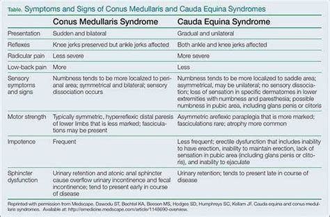 Conus Medullaris Vs Cauda Equina Syndrome Medizzy