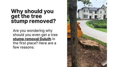 Ppt Why Should You Get The Tree Stump Removed In Duluth Powerpoint Presentation Id 11448204