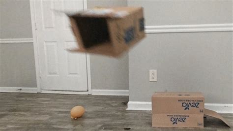 Fat Ass Jiggles And Shakes As Sexy Goddess Stomps On Disgusting Trash 4Ksmaller