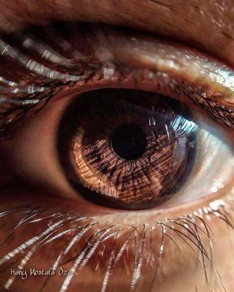 Macro photography of the eyes tips and examples – Artofit