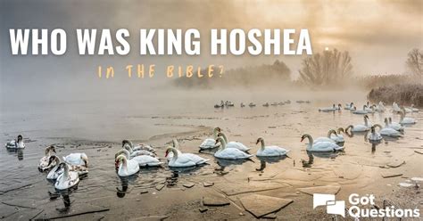 Who was King Hoshea in the Bible? | GotQuestions.org